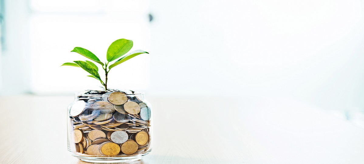 Plant growing out of jar full of coins